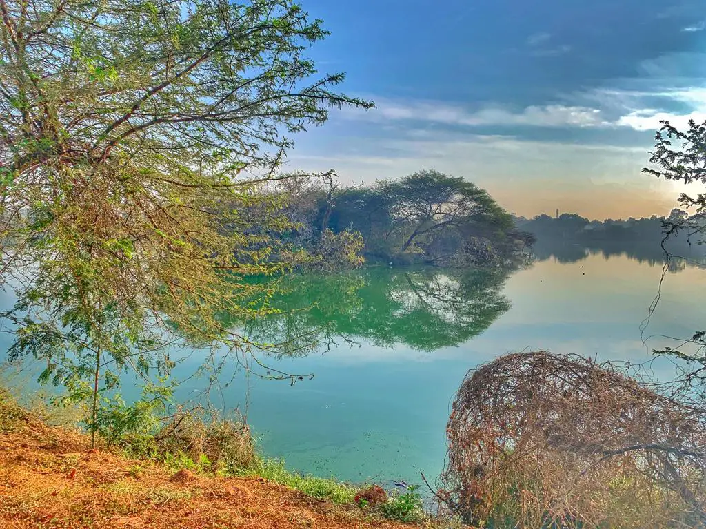Jakkur lake - Bangalore