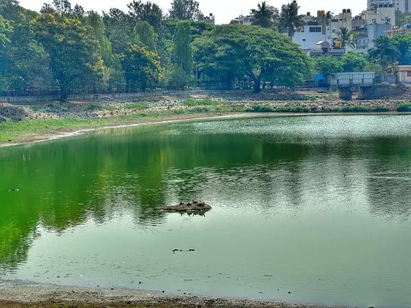 Kempambudhi Lake