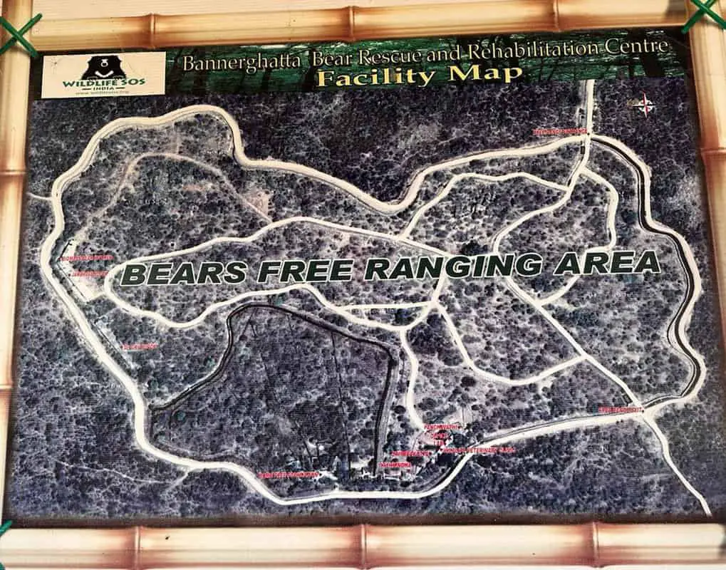 Bear Freeranging Area