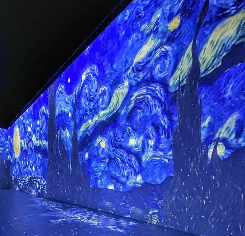 Vincent Van Gogh 360: Bangalore's Art Revolution!