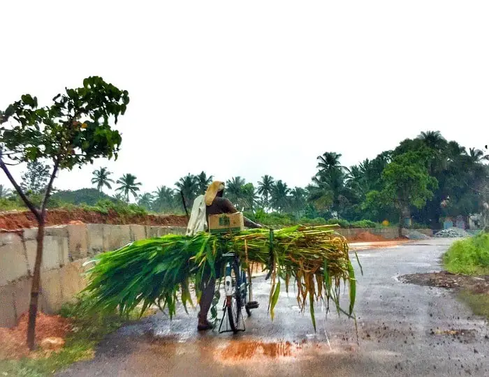 Farmer on a cycle