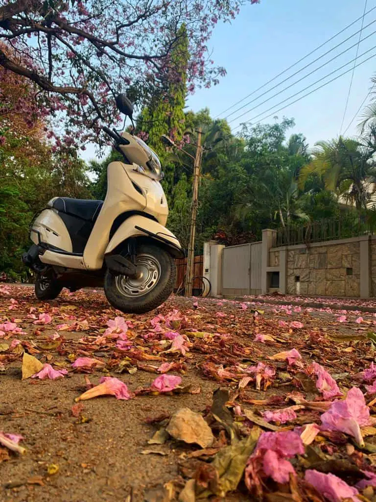 Streets of Bangalore painted pink