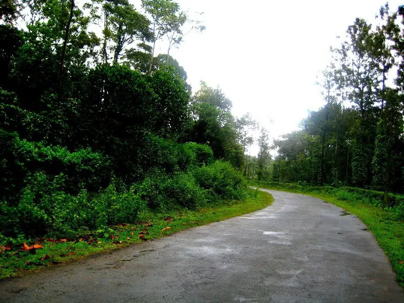 roads winding from Bangalore to Coorg on a road trip